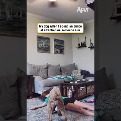 My dog when I spend an ounce of attention on someone else