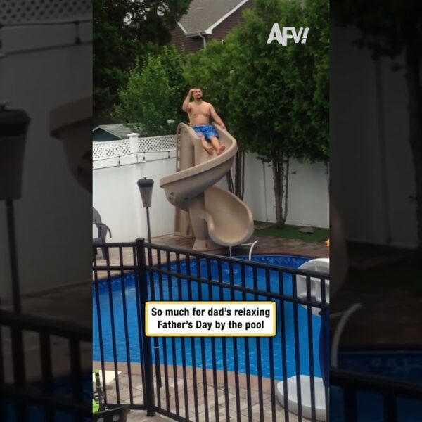 So much for dad’s relaxing Father’s Day by the pool