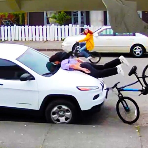 THE FUNNIEST MOMENTS OF JUNE 2026 | Best Fails of the Month