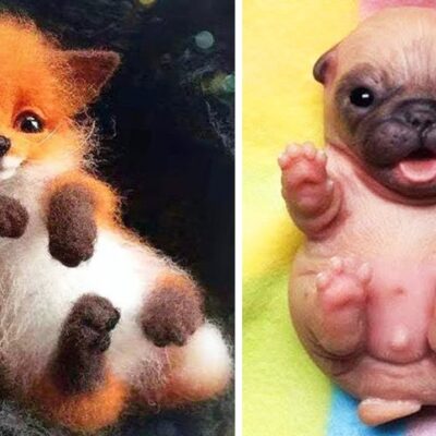 The Internet’s Cutest Baby Animals Compilation 🐶✨ 2026 #2