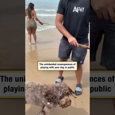 The unintended consequences of playing with your dog in public