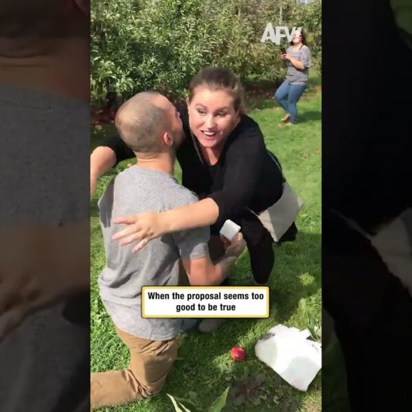 When the proposal seems too good to be true