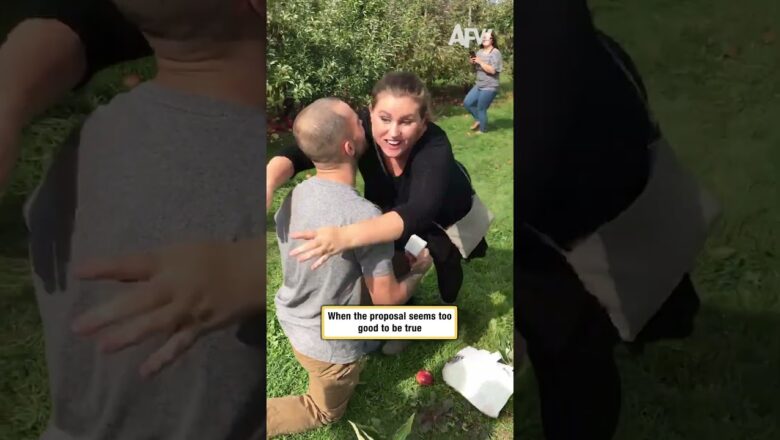 When the proposal seems too good to be true