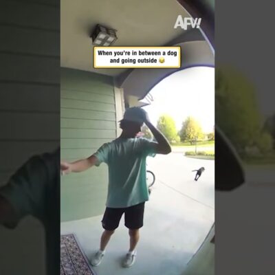 When you’re in between a dog and going outside 😂