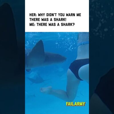 Cameraman was a bit distracted #shark #sharkweek #sharkattack #travel #fail