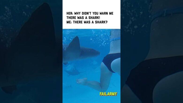 Cameraman was a bit distracted #shark #sharkweek #sharkattack #travel #fail