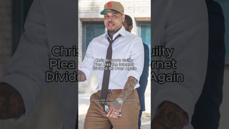 Chris Brown Pleads Guilty…Now Fans Are Divided Over His Futur