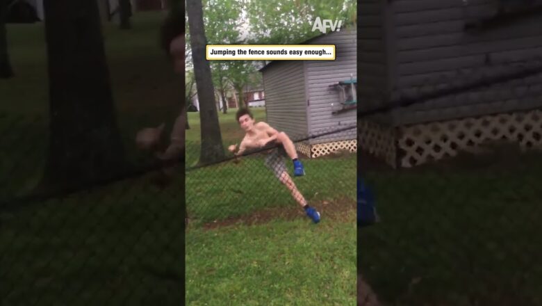 Confident fence jump goes WRONG #failvideos #funny #shorts