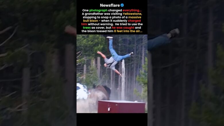 Do NOT Go To Yellowstone…