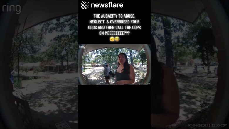 Dog Saviour Has The Police Called On Her