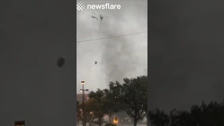 Driver Encounters Deadly Storm