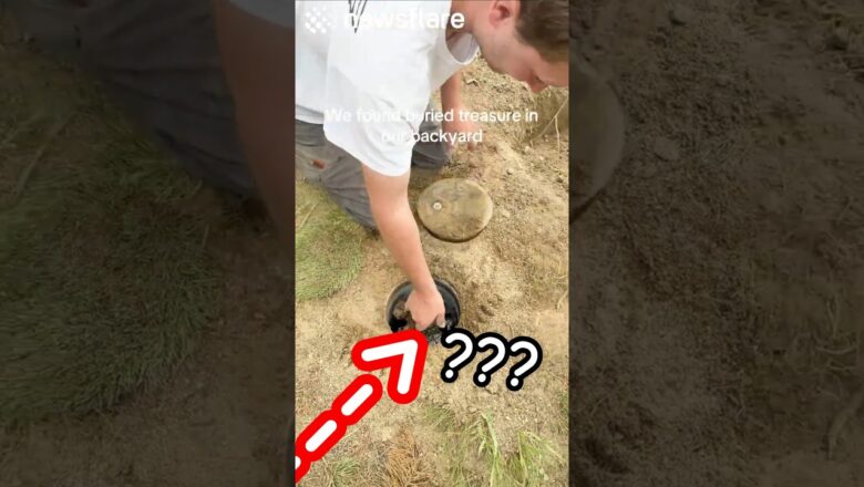 Family Find Buried Treasure In Their Garden