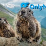 Funding Got Cut…So Scientist Started an OnlyFans
