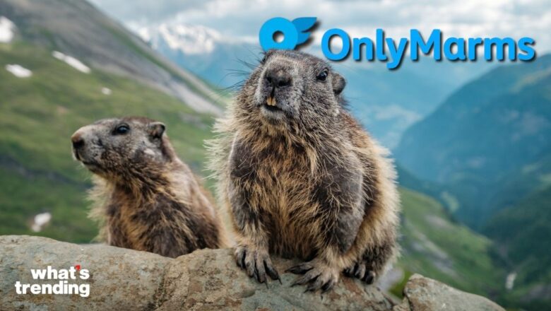 Funding Got Cut…So Scientist Started an OnlyFans