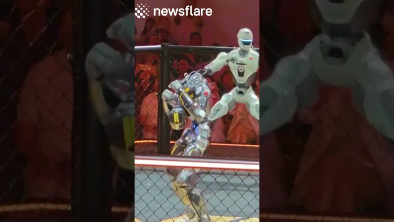 Humanoid Robots Fight In Boxing Match