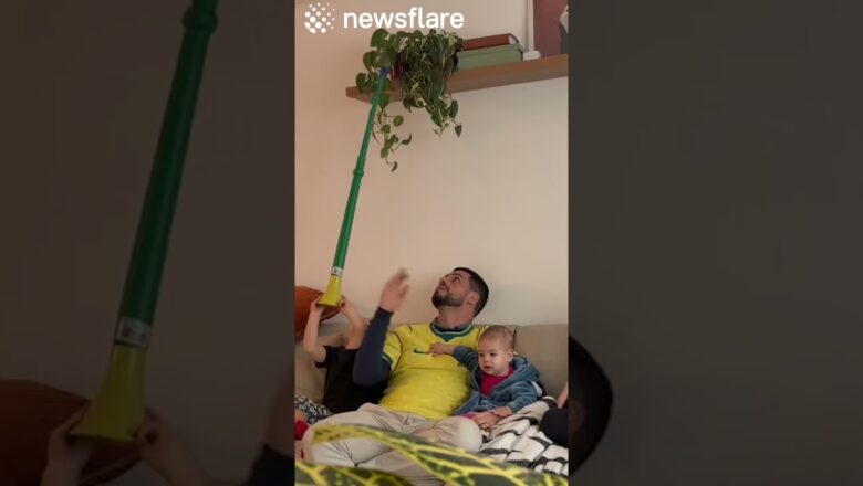 Kid Playing Around Gets Hit By Plant Pot