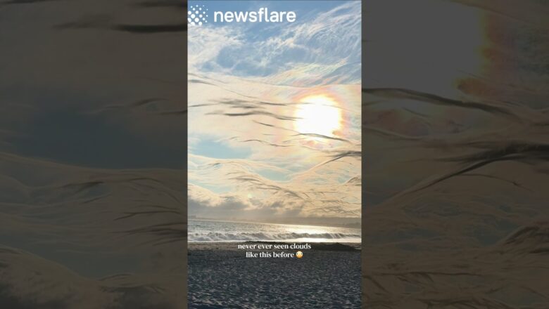 POV: The Sky Becomes The Ocean