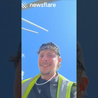 Roofer Takes Care Of Perry The Pigeon