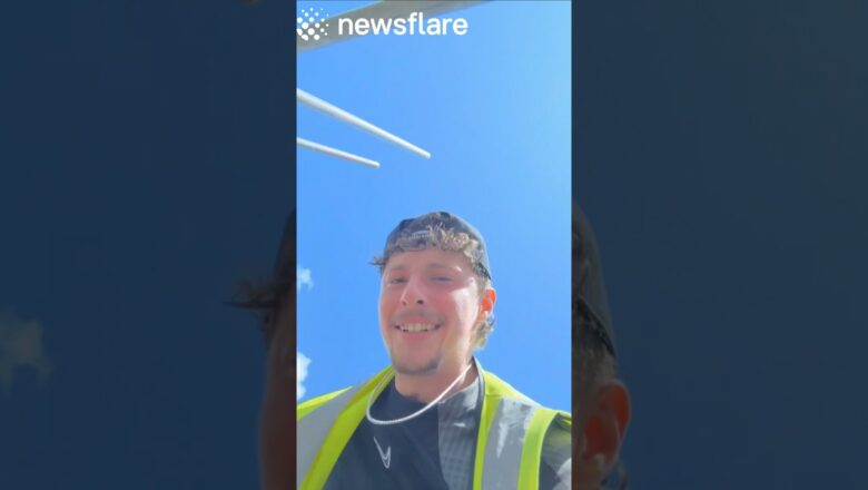 Roofer Takes Care Of Perry The Pigeon