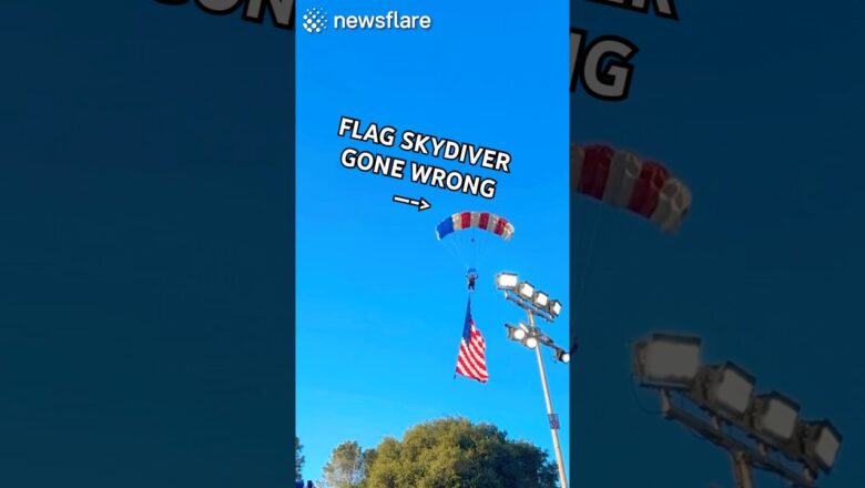 Skydiver’s Flag CAUGHT On Tree