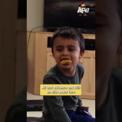 That’s the look of someone about to lie perfectly 🤥 #FunnyKids #AFV