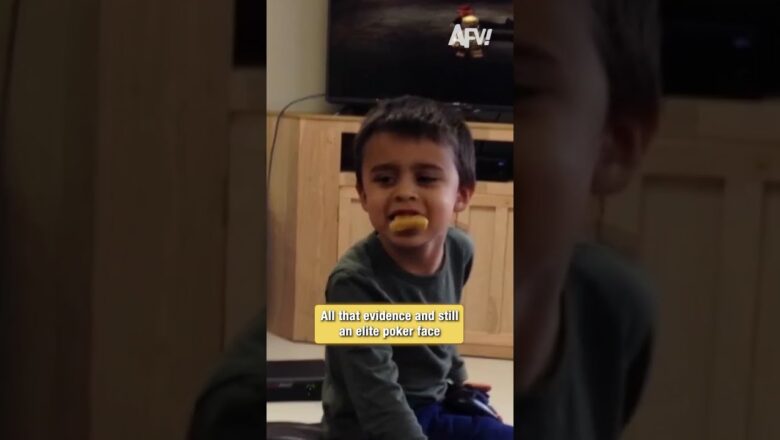 That’s the look of someone about to lie perfectly 🤥 #FunnyKids #AFV