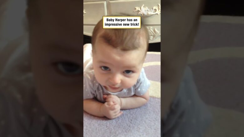 The Cutest New Trick You’ll See Today #babytrick #adorable #shorts