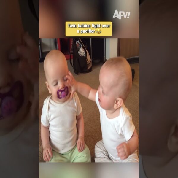 These twin babies are NOT sharing 😂 #funnybabies #twins #shortsvideo