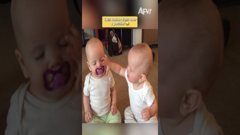 These twin babies are NOT sharing 😂 #funnybabies #twins #shortsvideo