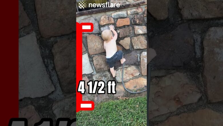 Toddler Found Climbing 4.1/2ft Wall