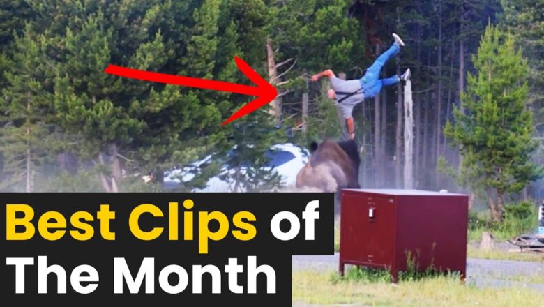 Top 20 Viral Clips of The Month