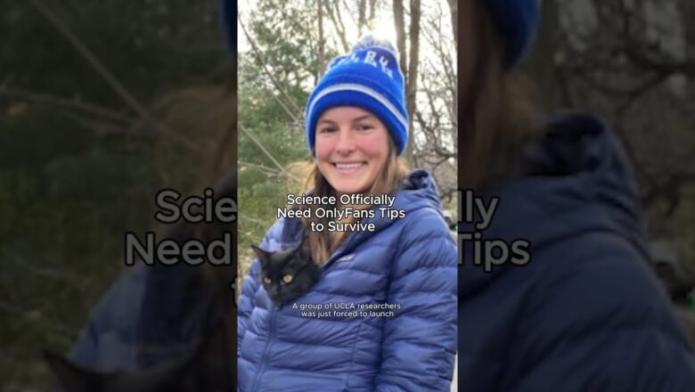 UCLA Researchers Started an OnlyFans for Marmots