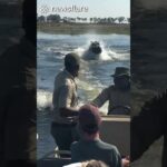 Angry Hippo CHASES Tourists In Boat