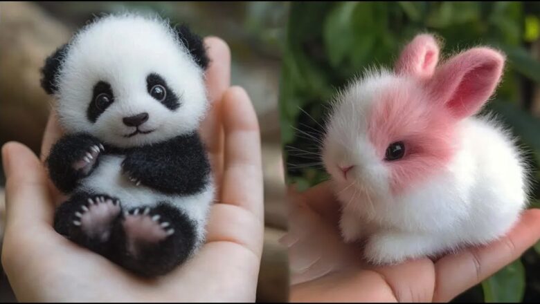 AWW Animals SOO Cute! Cute baby animals Videos Compilation cute moment of the animals #5 2026