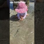 Baby Makes Some Fishy Friends❤️🐟
