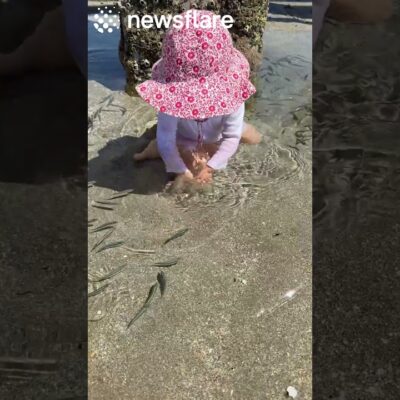Baby Makes Some Fishy Friends❤️🐟