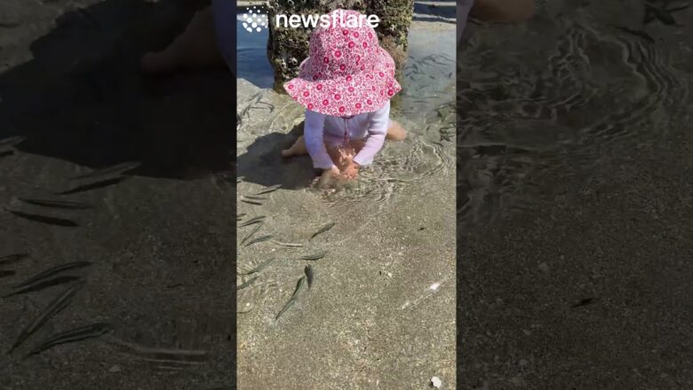 Baby Makes Some Fishy Friends❤️🐟