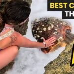 Best Animal Rescues Of The Week