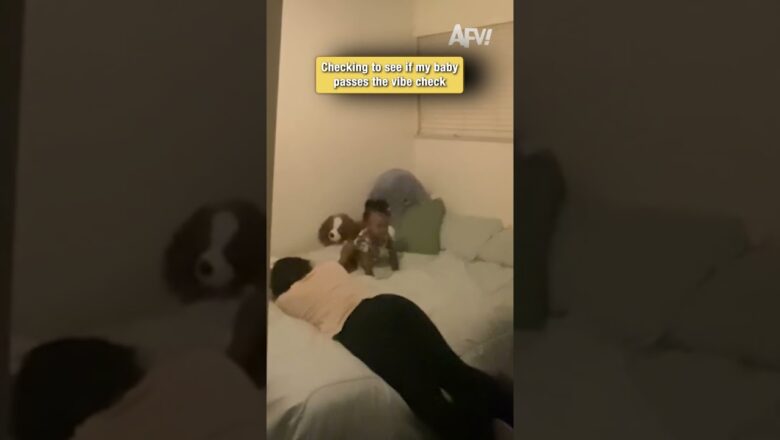 Checking to see if my baby passes the vibe check