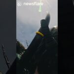 Diver Rescued After Passes Out Water