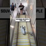 Fails you can’t unsee 🤣 #skateboardfails #diyfails #travel #fail #shorts