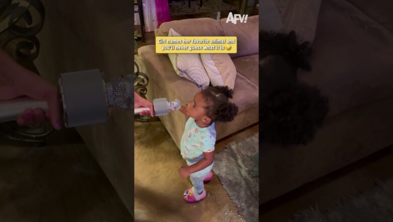 Girl names her favorite animal and you’ll never guess what it is 🤣