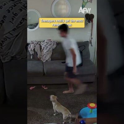 He Really Thought He Could Pull This Off 💀 #afv #pets