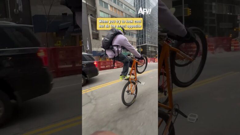 He Thought He Was Cool… Then This Happened