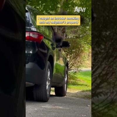 I caught an intruder sneaking onto my neighbor’s property