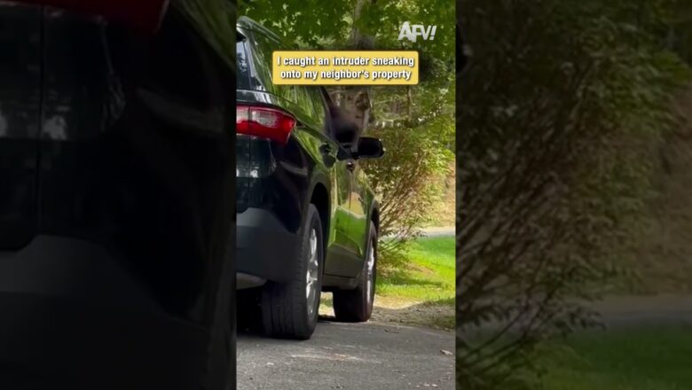 I caught an intruder sneaking onto my neighbor’s property