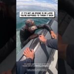 I only buy wild caught iPhones #fishing #fail #phone #waterfail #shorts