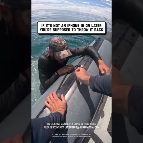 I only buy wild caught iPhones #fishing #fail #phone #waterfail #shorts
