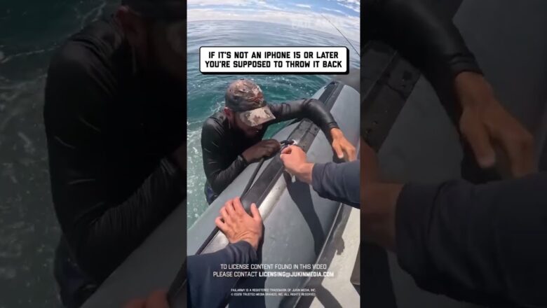 I only buy wild caught iPhones #fishing #fail #phone #waterfail #shorts