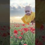 Kid Flies Lie a Bumblebee Through a Poppy Field